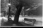 Kiedyś to były zimy! Tak wyglądał Kraków zasypany śniegiem przed wojną i w czasie okupacji