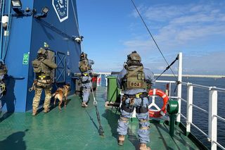 Spektakularna akcja służb w gazoporcie