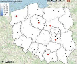 Mapa wypadków ze skutkiem śmiertelnym w Polsce. Jak ją znaleźć? 