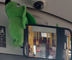 Jamnik za 799 złotych! Kierowczyni autobusu w Warszawie ukarana za maskotkę na szybie. „Chcę walczyć z tym absurdem”