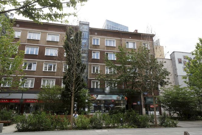 Martwe drzewa na Chmielnej w Warszawie. Miasto potwierdza. „Termin wymiany to jesień”