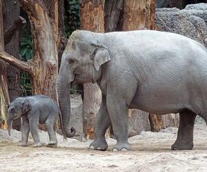 Orientarium ZOO Łódź  wyróżnione prestiżową europejską nagrodą! Doceniono architekturę i innowacyjne rozwiązania 