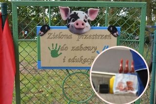 Nietypowe świętowanie otwarcia placu zabaw w Czerninie. Dzieci z kieliszkami w dłoniach wznosiły toast