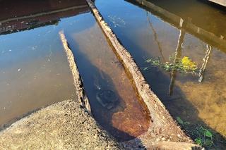 Strażacy wyłowili tajemniczą niespodziankę. Łódź wydobyta na brzeg pamięta rozbiory Polski!