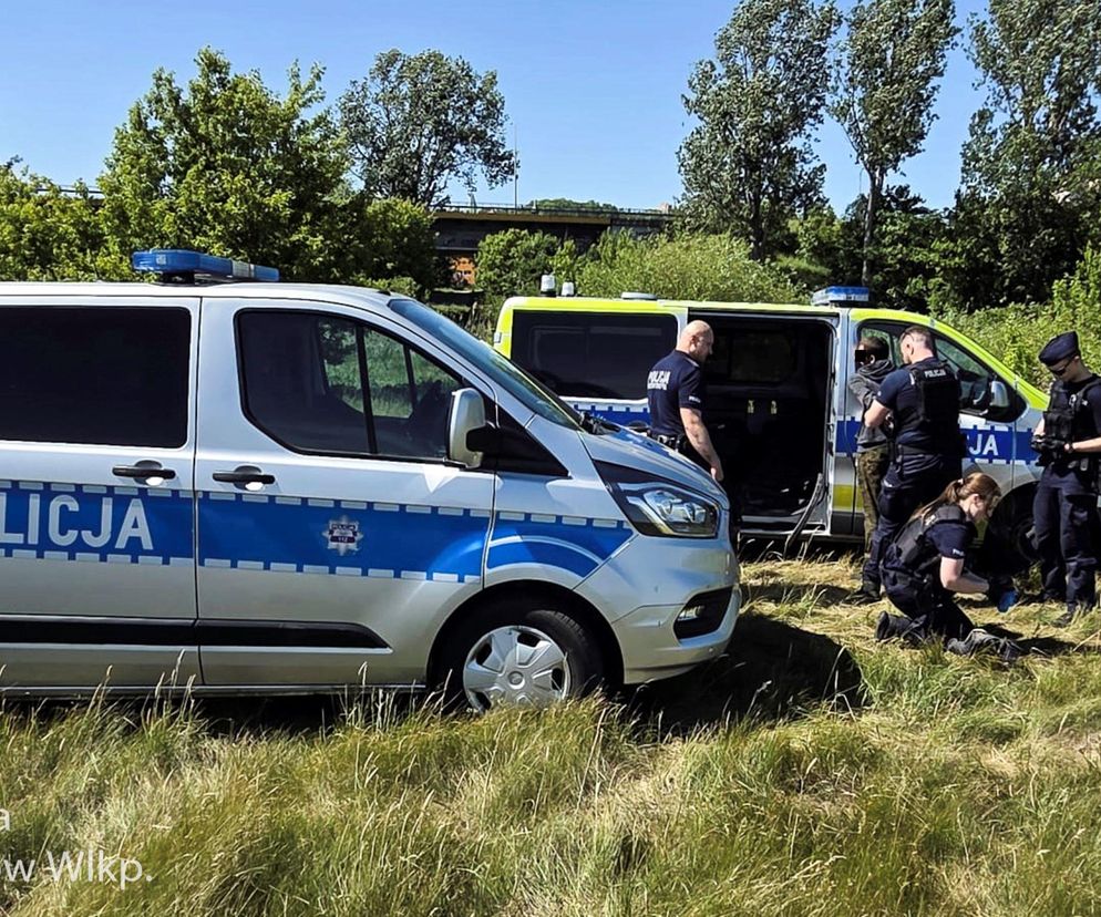 Liczył, że schowa się w zaroślach. Ale się przeliczył