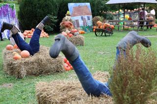 Farma dyń 2023 w Lublinie. Tak było w weekend otwarcia!