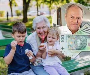  800 plus rządu Tuska. Ile pieniędzy przekazano Polakom? 