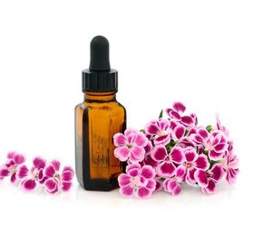 Olejek goździkowy - na rany, stany zapalne i nerwobóle