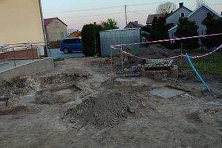 Ogród wertykalny w Kamionce