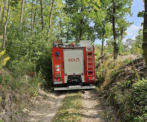 Ciągnik przygniótł 60-latka w lesie! Tragiczna śmierć pod Grudziądzem