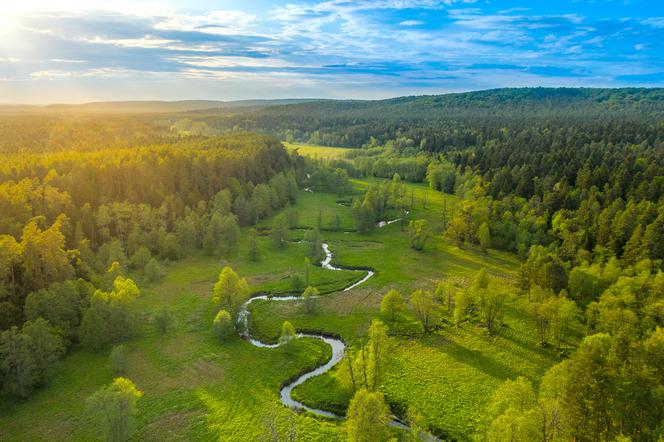 Kolej konkurencją dla samochodów? Na Roztocze pojedziemy z nowych przystanków