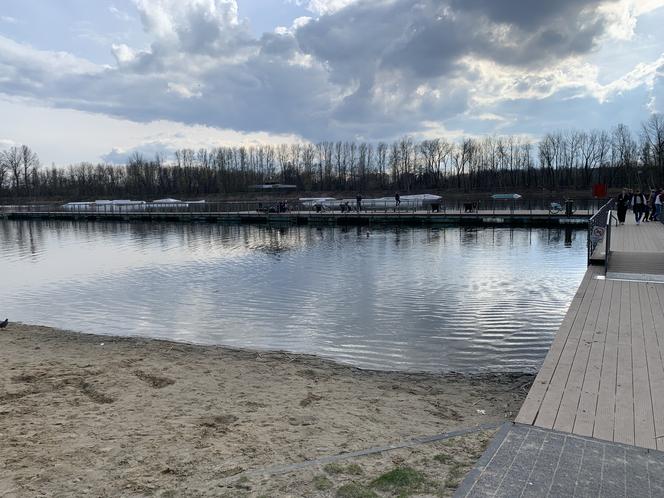 Stawiki w Sosnowcu budzą się do życia na wiosnę