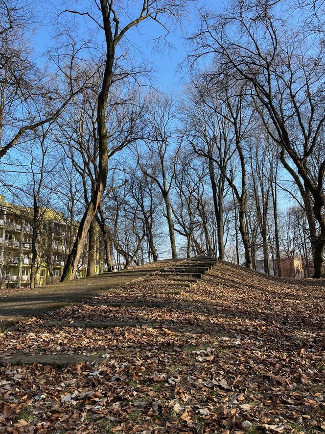 Zabytkowy Park Bronowicki w Lublinie czeka gruntowna rewitalizacja. Koszt? 8 milionów złotych