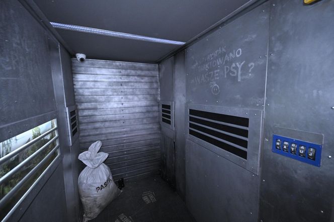 Reporterzy "Super Expressu" zamienili się w świnie. To pierwsze takie miejsce w Polsce. Nietypowy escape room w Warszawie