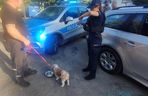 Policjanci uratowali psa pozostawionego w zamkniętym samochodzie