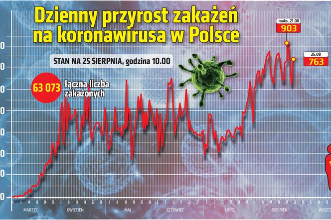 Koronawirus w Polsce