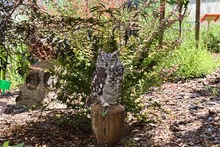 Za nami Europejskie Dni Arecheologii w muzuem im. Jacka Malczewskiego w Radomiu