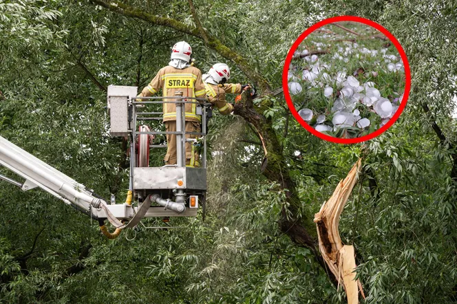 Pogodowy armagedon. Trąba powietrzna, grad i ulewy