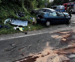 Tragiczne zderzenie trzech aut na DK 25! Zginęła 64-letnia pasażerka [ZDJĘCIA]