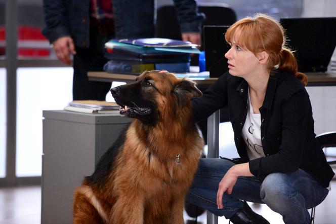 Komisarz Alex 7 sezon odc. 83 (odc. 5). Lucyna (Magdalena Walach)