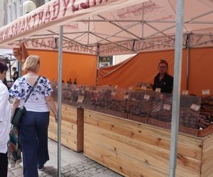 Dni Olsztyna 2025. Dziesiątki wystawców i setki olsztynian na Jarmarku Jakubowym