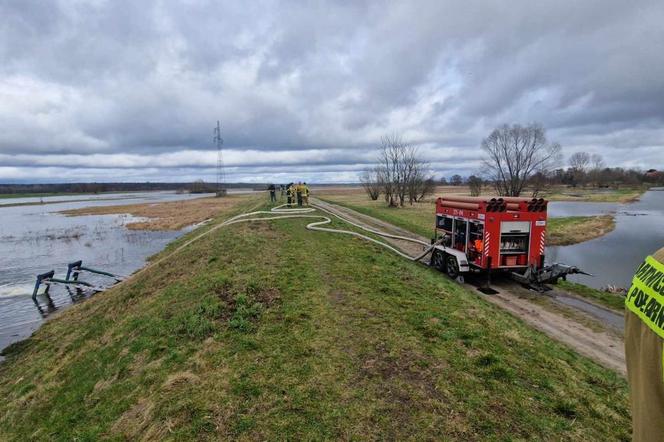 Działania strażaków w Skwierzynie