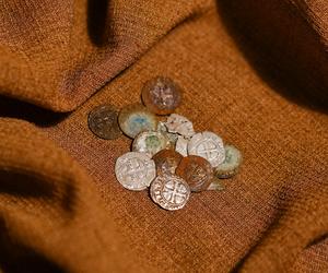 Krzyżacki skarb pod Warszawą. Monety trafiły pod opiekę specjalistów z Państwowego Muzeum Archeologicznego