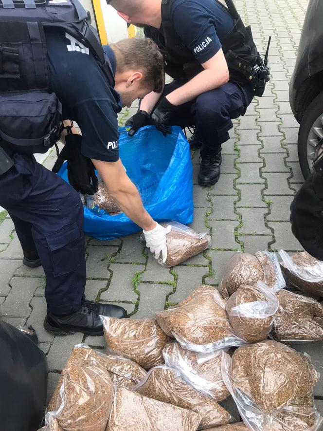 Toruń: Akcja policjantów z Bydgoszczy w naszym mieście. Zatrzymali dwóch mieszkańców Malborka