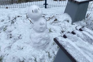 Zimowa aura w Zielonej Górze w 2025. Jak długo się utrzyma?