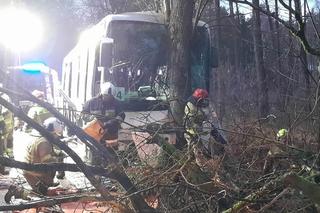 Szkolny autobus uderzył w drzewo