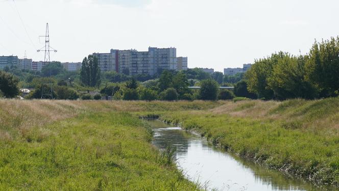 Bystrzyca oddziela dwie dzielnice: Rury i Za Cukrownią. Jak prezentuje się ta część Lublina w letniej odsłonie? ZOBACZ ZDJĘCIA