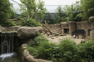 Opolskie zoo sprowadza rzadkie gatunki. Kiedy zobaczymy nowych mieszkańców?