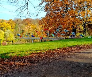 Renowacja Ognistych Ptaków dobiega końca