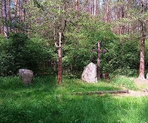 Leśny cmentarz rodu von Ramin