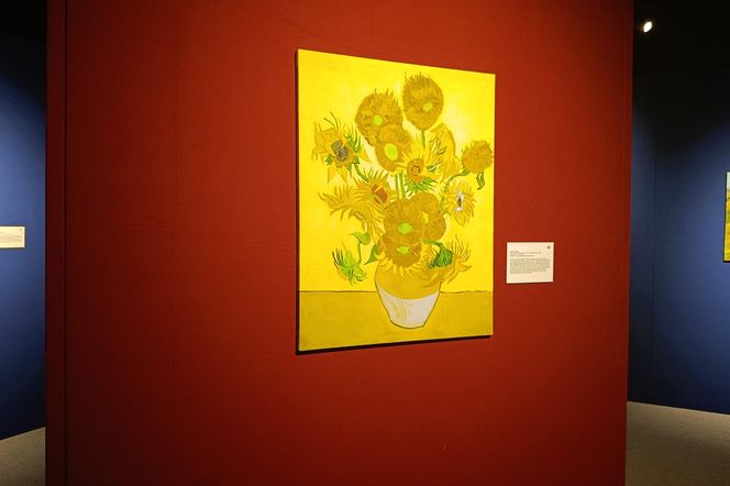 Wystawa "VAN GOGH – The Immersive Exhibition" w Szczecinie