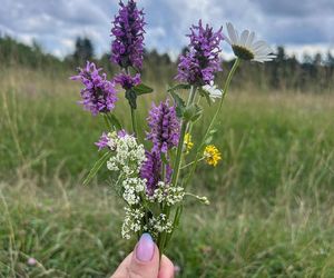 Marta Nawrocka na spacerze z córką i mężem