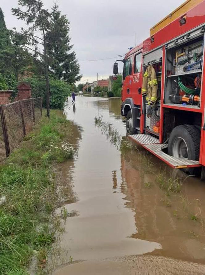 Bączylas w pow. gostyńskim walczy z wodą