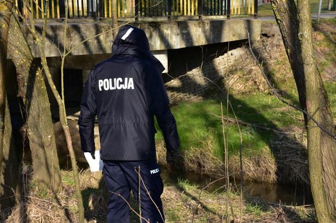 Tajemnicze zaginięcie 73 letniej Krystyny z Łowiec