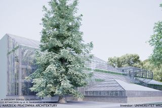 Palmiarnia we Wrocławiu. Wizualizacja