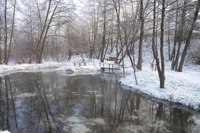 Źródliska w Łanach