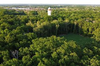 Łąki wokół Lasu Mokrzańskiego zostaną zabudowane? Władze Wrocławia nie mają nic przeciwko 