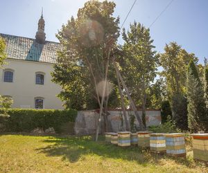 Kościół Niepokalanego Poczęcia NMP w Lutomiersku
