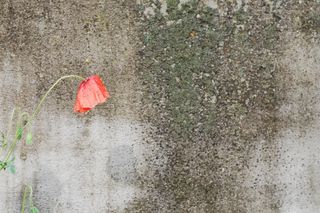 Leczenie depresji. W jaki sposób leczyć depresję?