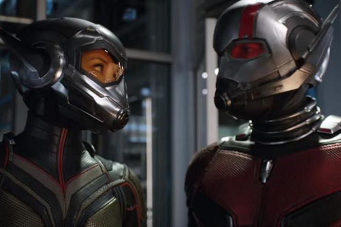 Ant-Man i Osa - wyciekła scena po napisach. Zdradza to co zobaczymy w 'Avengers 4' [VIDEO]