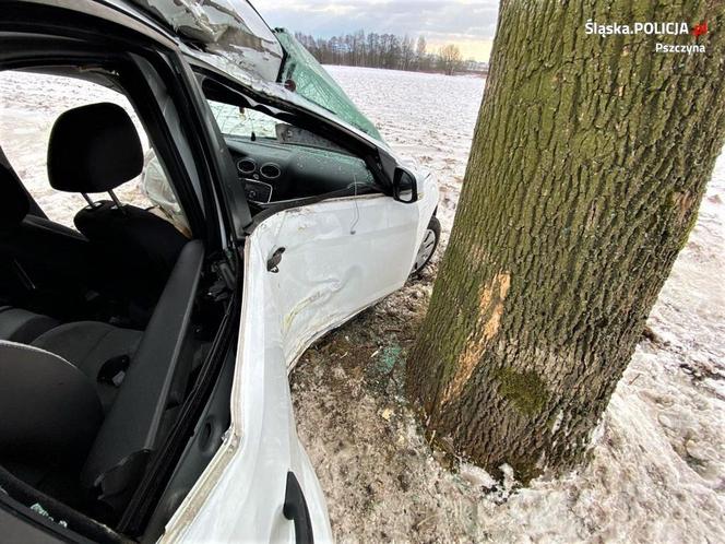 Śląskie: Koszmarny wypadek. 24-latka jechała z dwójką dzieci. Jej auto wbiło się w drzewo. Interweniował LPR