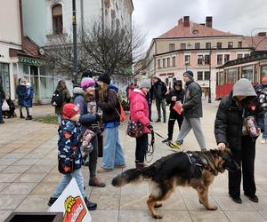 32. Finał Wielkiej Orkiestry Świątecznej Pomocy w Tarnowie