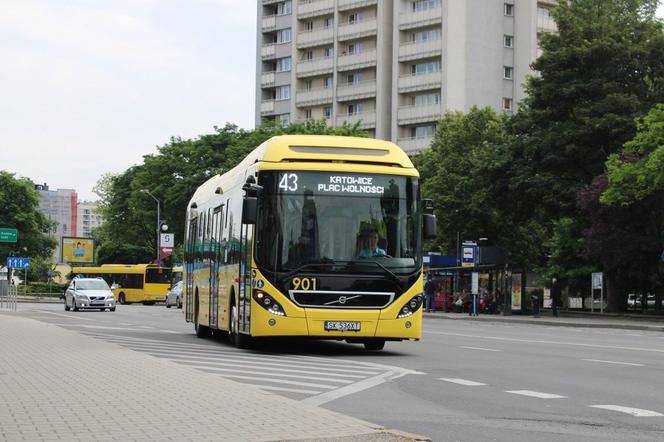 Nowe autobusy hybrydowe w Katowicach