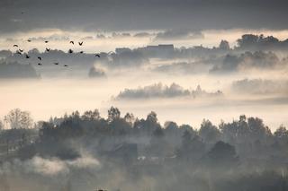 Wyjątkowa wieś w Małopolsce. Zachwycał się nią Robert Makłowicz 