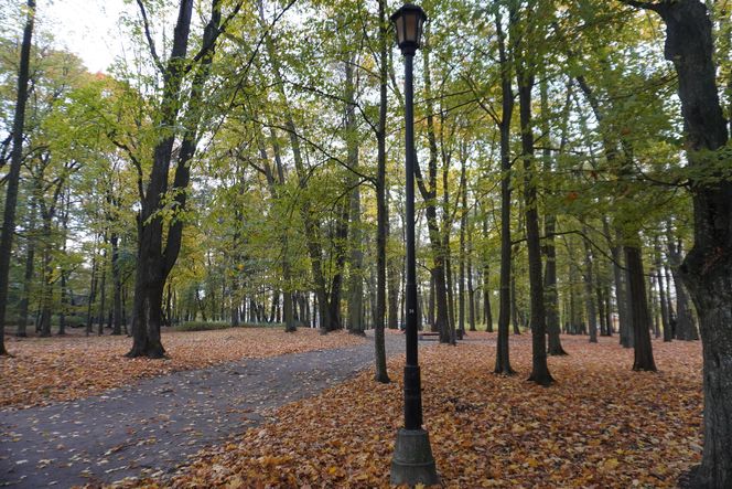 Park Lubomirskich w Białymstoku jesienią 