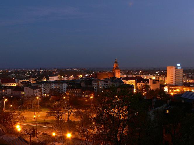Wzgórze w Parku Siemiradzkiego